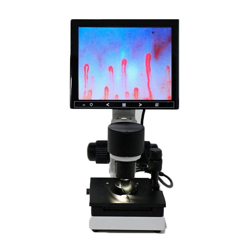 Digital Magnifier Reading - Digital Microscope Zoom Nailfold Capillary Microcirculation