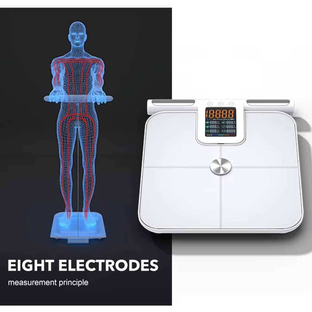 Smart Body Fat Scale for with  - Body Fat Scale Smart reseña y precio