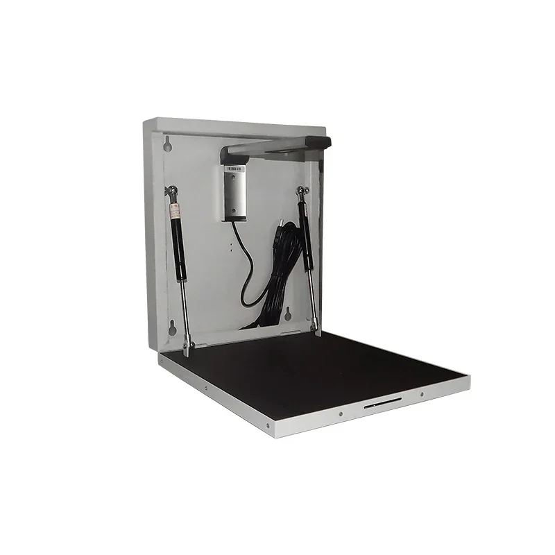 2026 New Digital Visualizer Vi - Document Camera Visualizer reseña y precio