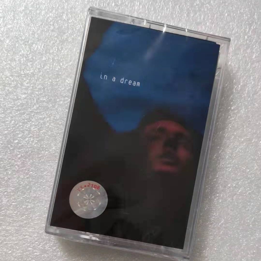Troye Sivan In A Dream Album M - Electronic Gift reseña y precio