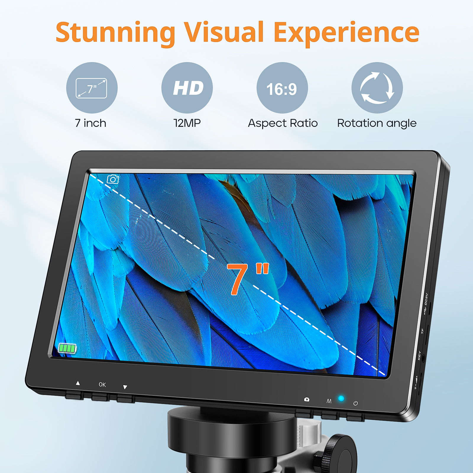 Hayve 7‘’ Digital Microscope 1 - Digital Magnifier Reading reseña y precio